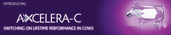 Axcelera-c banner